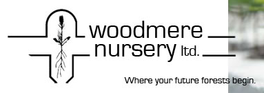 Woodmere Nursery Shoal Lake Cree Nation