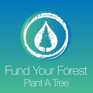 Plant A Tree